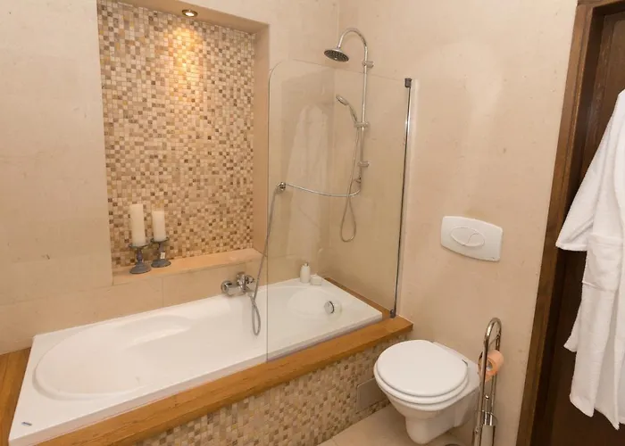 Lux Unirii Lejlighed *